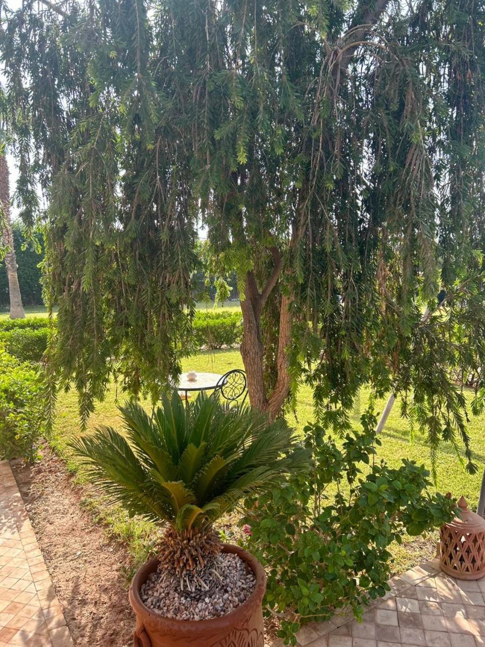 Villa Diaf Johanne Aït Ourir Exteriér fotografie